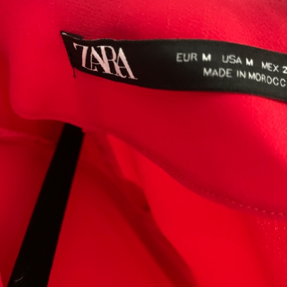 Zara Mini Dress - Picture 3 of 3